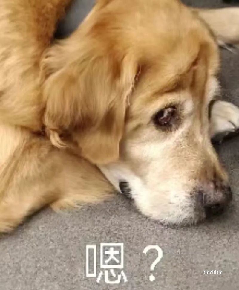 “大汽车”来了